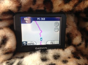 4000 metres up, at which point I gave up trying to take photos and focused on not having such a severe headache.