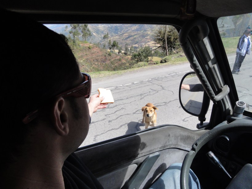 Making friends when we were waiting to cross a one lane road. This little munchkin left with a satisfied tummy after being given food by nearly everyone in the queue