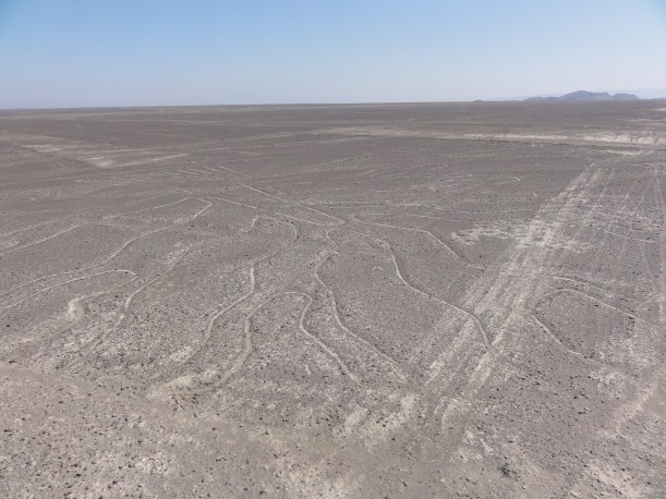 My best attempt at capturing the tree. If you tilt your head a little bit to the right you can see the roots.