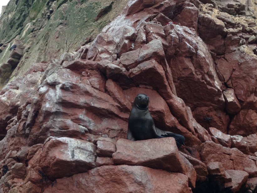 This little lady posed up a storm for us.