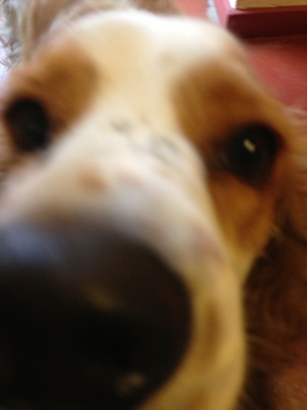 Jonny! When he heard that I was writing a blog, he asked to be featured so he could have more luck with the ladies. You're welcome Jonny.