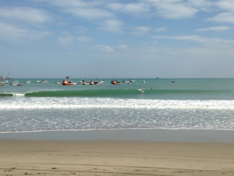 Rulo spying on the waves