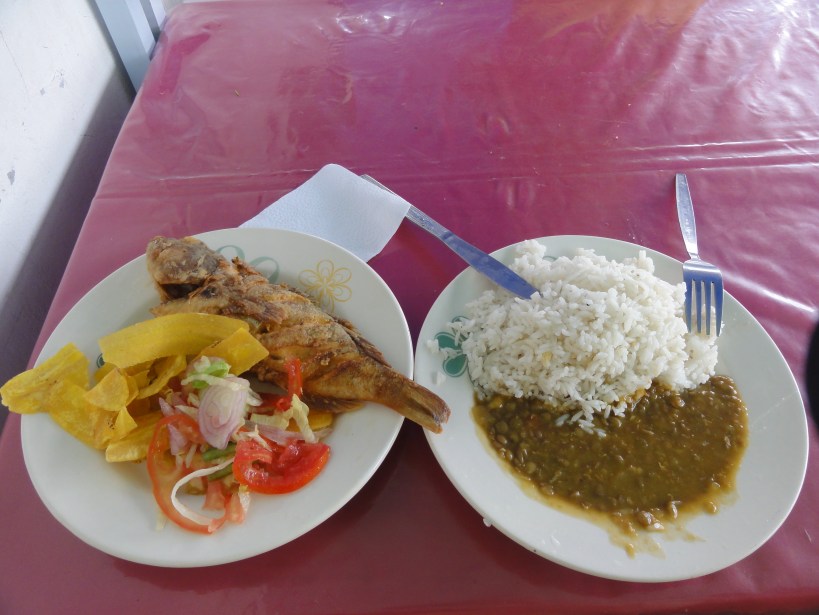 We went for the 'menú' at the food kiosk opposite the hairdressers and this came to a grand total of $3 with juice.