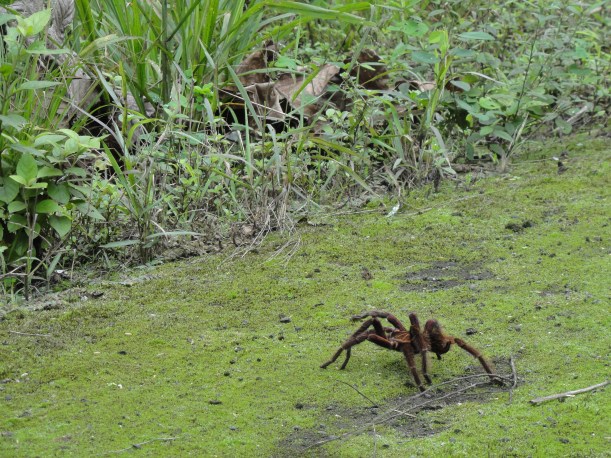 Showing us his good side